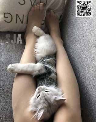 双刺电视剧全集免费播放_蓝光在线观看完整版