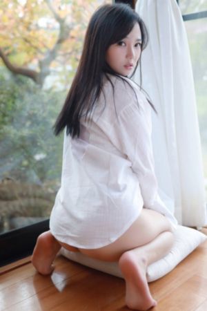 熊出没在线观看完整版免费_无删减完整版在线观看