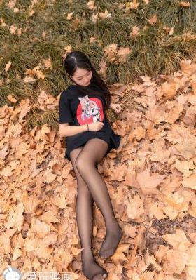 弗拉德与尼基免费全集_720高清完整版播放