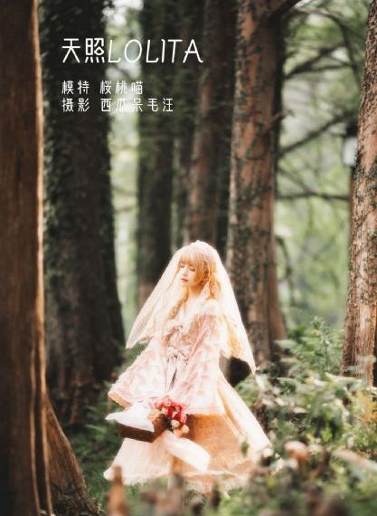 在深圳合租的日子_国产剧免费在线播放
